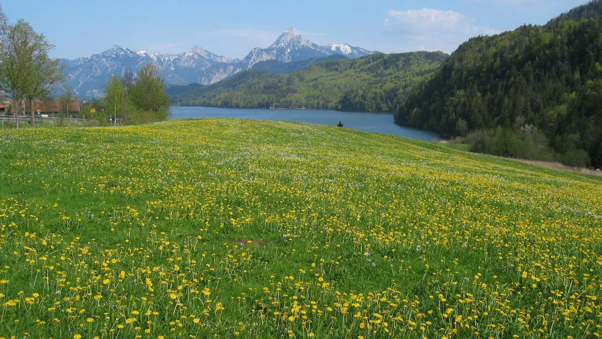 Penzion Steigmuehle Pension Garni Füssen
